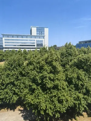 NH Duesseldorf City Near Hotel Photos