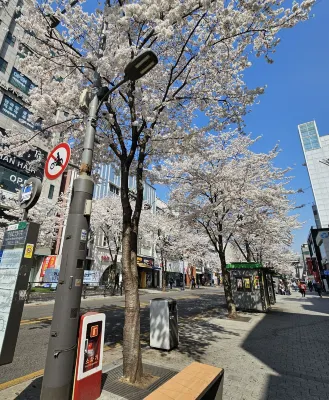 포레스타 호텔 신촌 호텔 주변 Photos