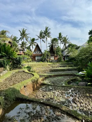 Menzel Ubud Dekat Hotel Photos