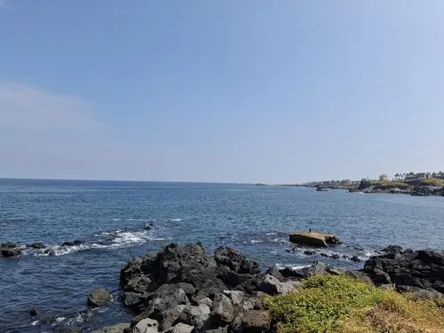 제주 큐티파이호텔 호텔 주변 Photos