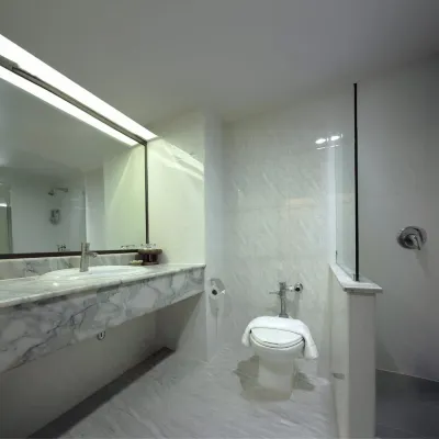 Pinnacle Lumpinee Park Hotel Chambres Photos