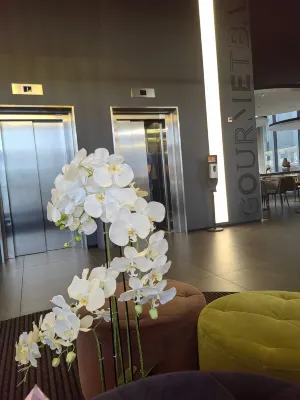 Novotel Basel City Aree comuni Photos