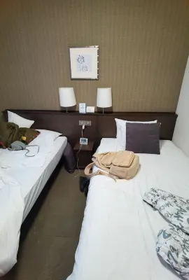 Shizutetsu Hotel Prezio Shizuoka-Ekikita Chambres Photos