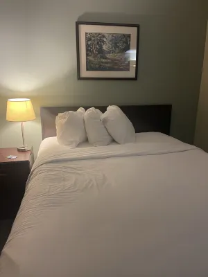 Harrison Lake Hotel Camere Photos