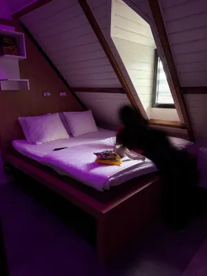 Bunk Hotel Utrecht Rooms Photos