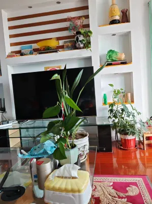A youth hostel·B&B with sea views (Golden Beach Beer City) Photos