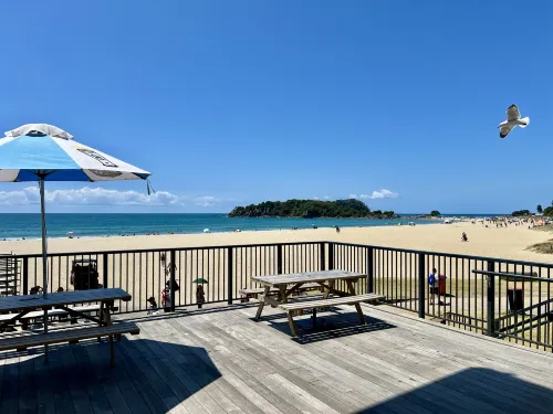 CitySide Hotel Tauranga Near Hotel Photos