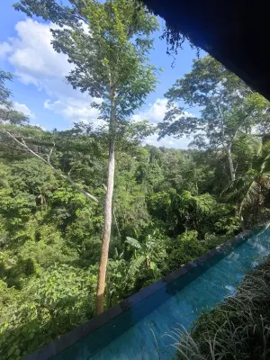 The Hidden Paradise Ubud À proximité de l'hôtel Photos