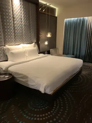 Pullman New Delhi Aerocity- International Airport Chambres Photos