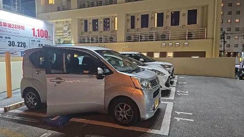 Enagic Okinawa Kokusai Plaza Hotel Öffentliche Flächen Photos