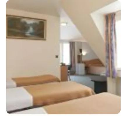 Hôtel Ferney République Chambres Photos
