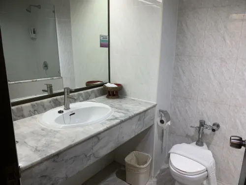 Pinnacle Lumpinee Park Hotel Chambres Photos