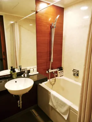 Tokachigawa Onsen Daiichi Hotel Zimmer Photos