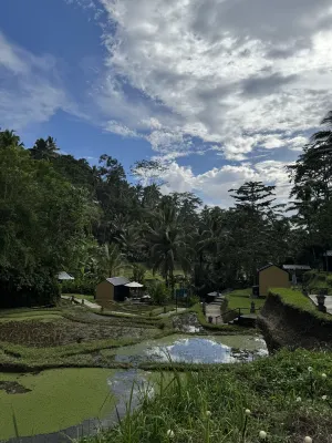 Bobocabin Ubud Bali Dekat Hotel Photos