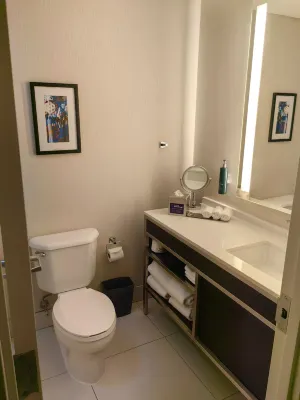DoubleTree by Hilton Hotel Boston - Downtown Rooms Photos