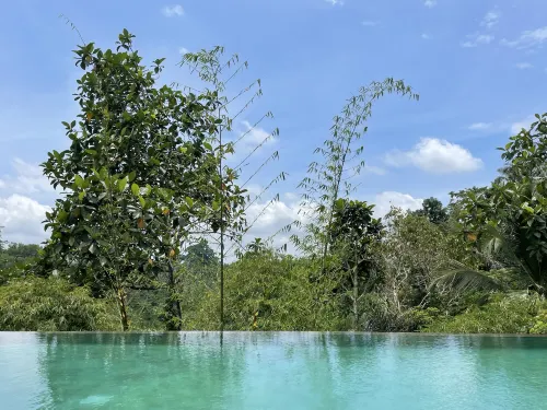 Anantara Ubud Bali Resort Photos