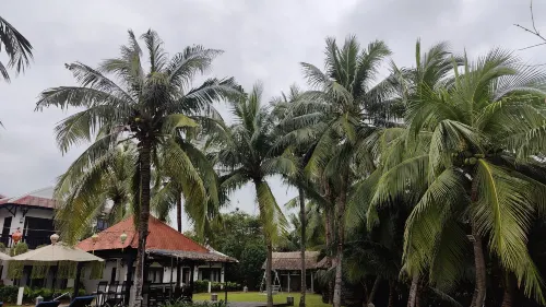 Riverside Bamboo Resort Hội An Xung quanh Photos