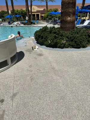 Renaissance Palm Springs Hotel Leisure & Recreation Photos