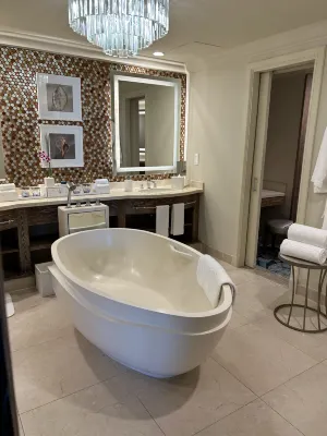 Atlantis, the Palm Kamar Photos