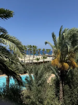 Oscar Resort Hotel Near Hotel Photos