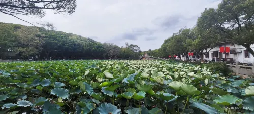 北京北大博雅國際飯店 飯店周邊 Photos