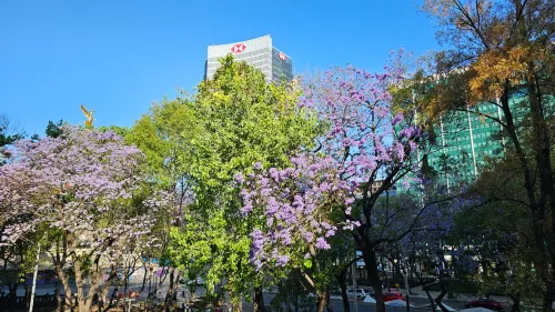 Hotel MX más Reforma À proximité de l'hôtel Photos