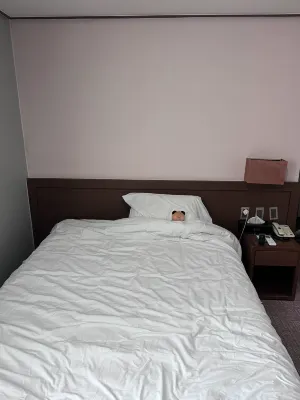 Benikea Hotel Jeju Camere Photos