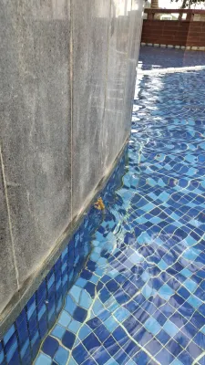 Four Points By Sheraton Shenzhou Peninsula Leisure & Recreation Photos