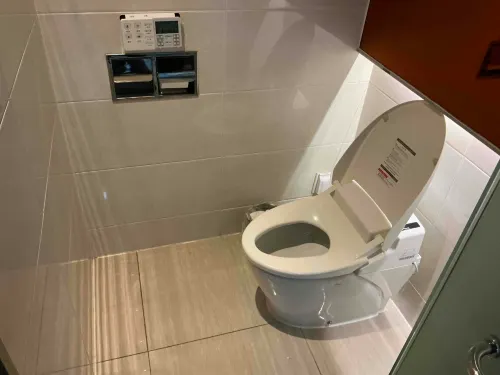 SB汝矣島精品飯店 房間 Photos