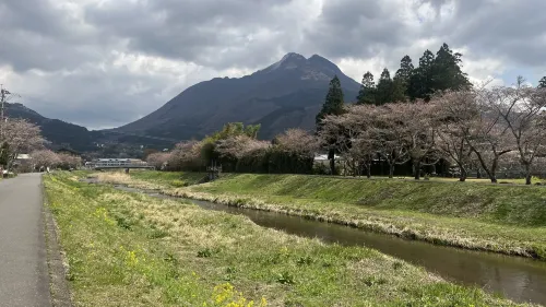 Pension Yufuin À proximité de l'hôtel Photos
