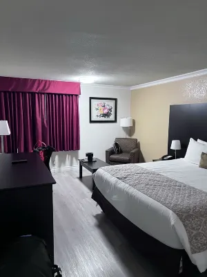 Best Western Plus South Bay Hotel Rooms Photos