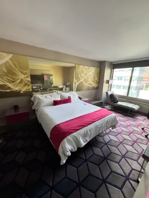 W New York - Times Square Kamar Photos