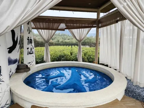 Qiyun·Anji Chashan Yelu Hot Spring Homestay Photos