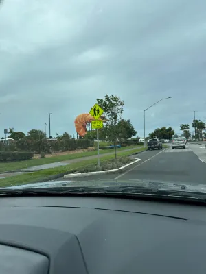 Ramada Hotel & Suites by Wyndham Ballina Byron À proximité de l'hôtel Photos