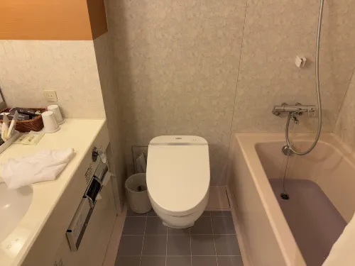 Hotel JAL City Nagano Kamar Photos