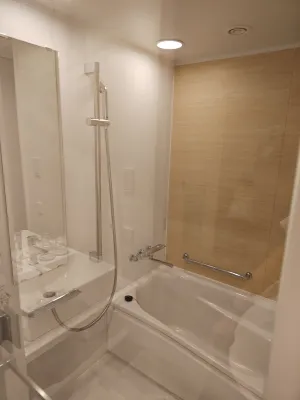 DEL style NAGOYA-NAYABASHI by Daiwa Roynet Hotel Kamar Photos