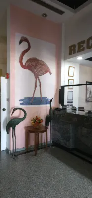 Flamingo Beach Hotel Общественные зоны Photos