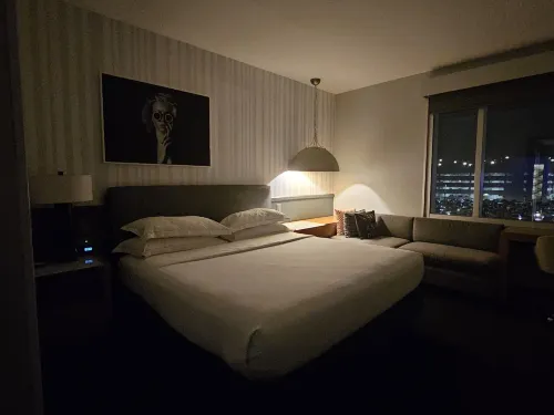 The Rose Hotel Chicago O’Hare, Tapestry Collection by Hilton Rooms Photos