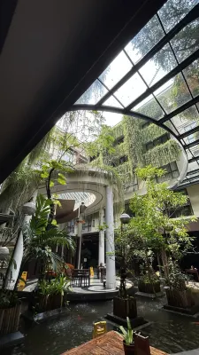 Swiss-Belhotel Rainforest Area Publik Photos