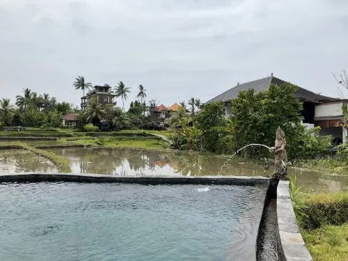 Cahaya Ubud Villa Photos