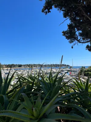 AC Hôtel Ambassadeur Antibes - Juan-les-Pins À proximité de l'hôtel Photos