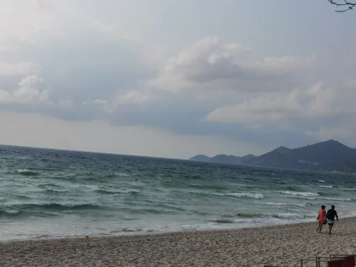 더 시크릿 풀 빌라 바이 더 라이브러리 코 사무이 호텔 주변 Photos