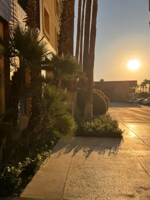 Renaissance Palm Springs Hotel Near Hotel Photos
