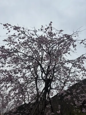 Jr Clement Inn Himeji Near Hotel Photos