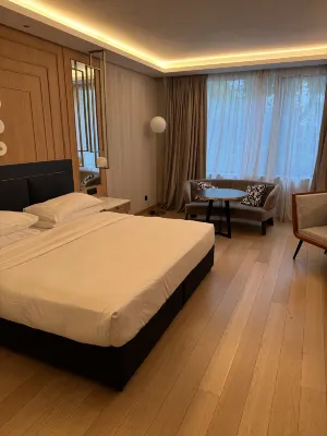 Grand Hyatt Athens Camere Photos