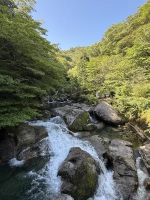 Yakushima Green Hotel Near Hotel Photos