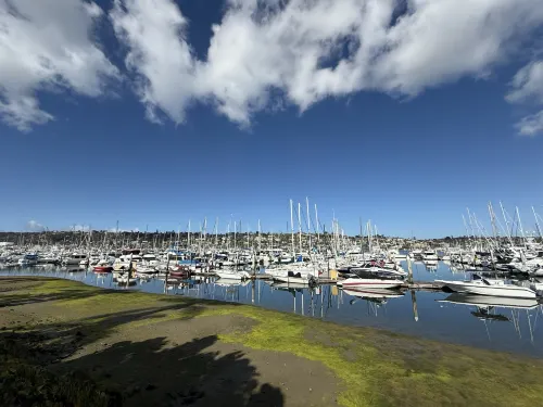 Best Western Plus Island Palms Hotel & Marina Near Hotel Photos