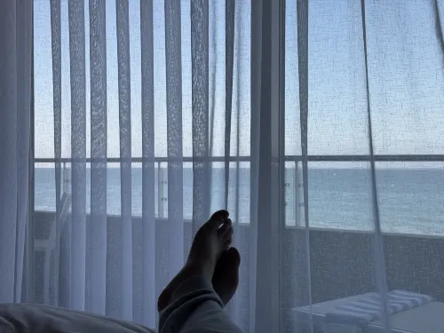 Malibu Beach Inn Photos