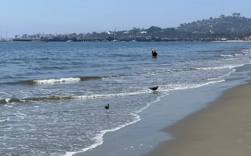 Motel 6 Santa Barbara, CA - Beach À proximité de l'hôtel Photos