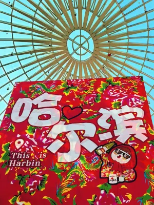 哈爾濱望岳輕呈公寓（融創樂園世茂大道地鐵站店） Photos